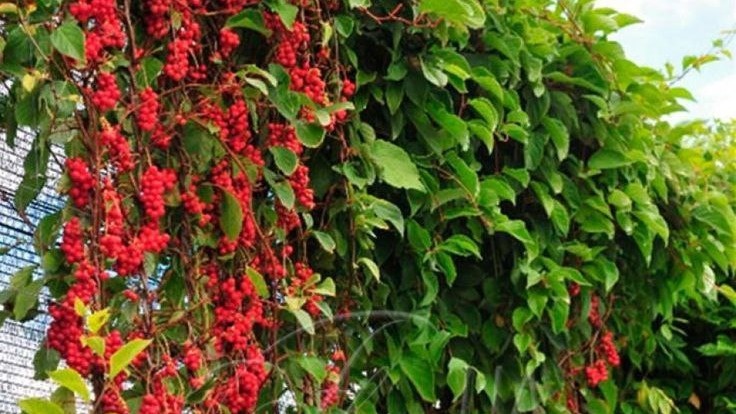 Фото с pinterest.com