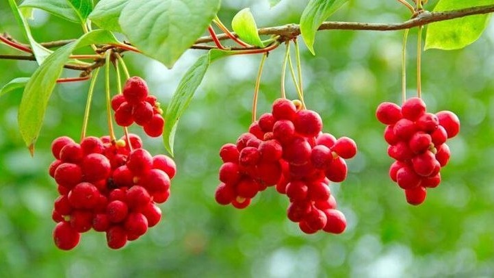 Фото с pinterest.com