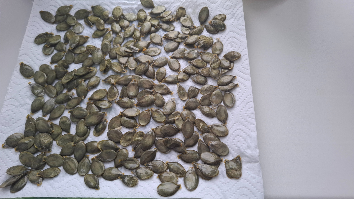 Семечки тыквенные.