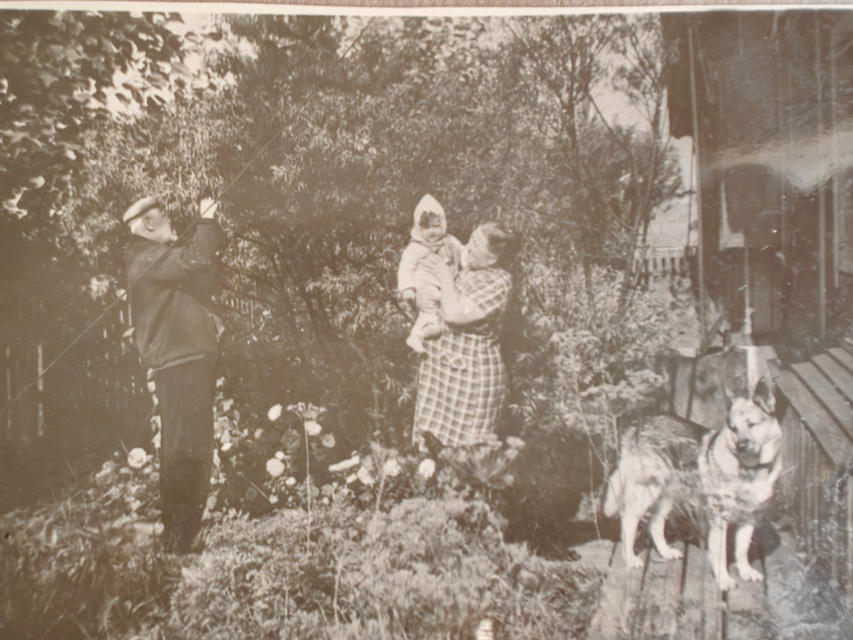 Я у бабушки на руках, рядом дедушка подрезает облепиху и собака по имени Анга
