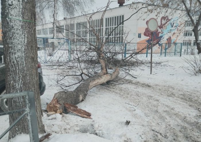 Фото t.me/newsnovosib