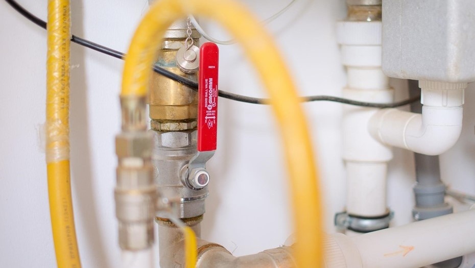    Автор фото: Беликов Валентин