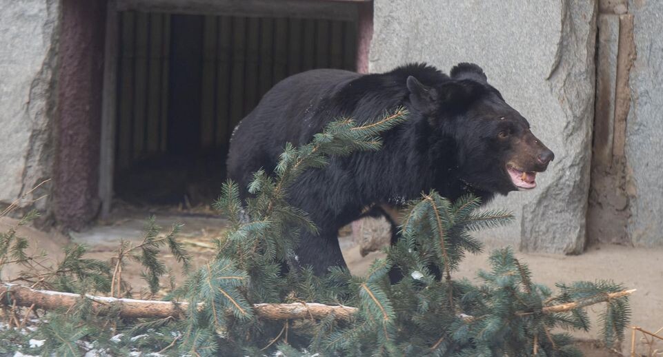    Komsomolskaya Pravda/Global Look Press