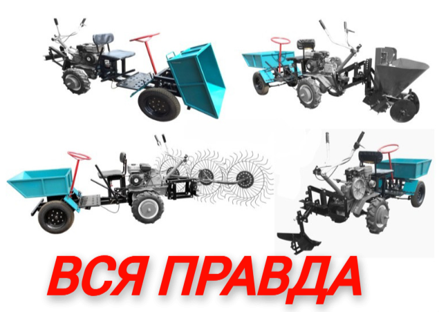 фото источник интернет