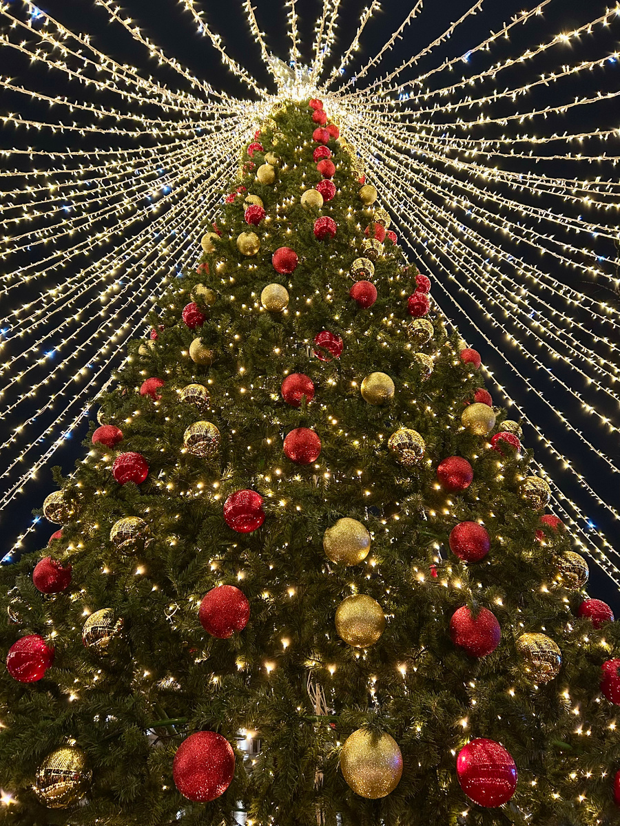 Зеленоградск (личное фото)