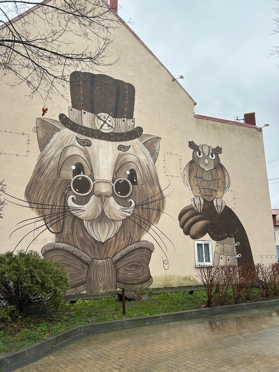 Зеленоградск -город кошек (личное фото)