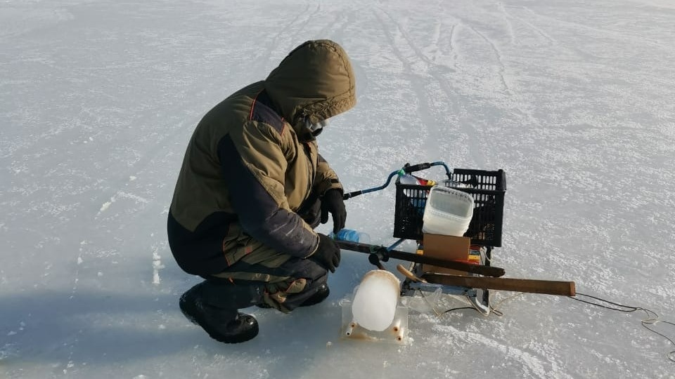     Источник: prim_marine_bio