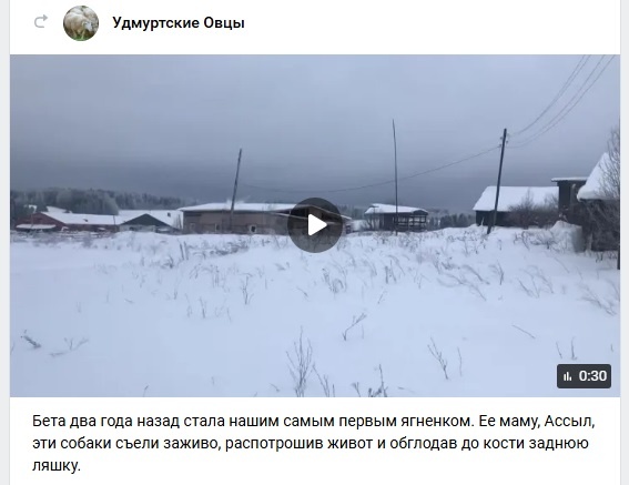 скрин поста на странице "фермерского хозяйства"