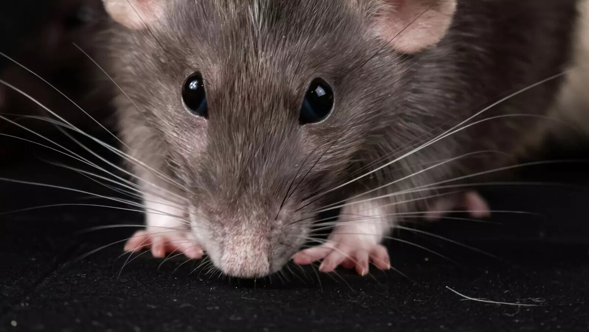     Автор: Unsplash