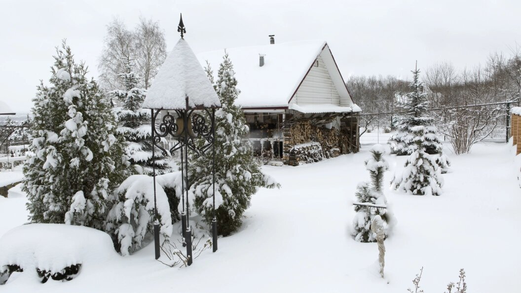    Nikolay Gyngazov/Global Look Press/Globallookpress