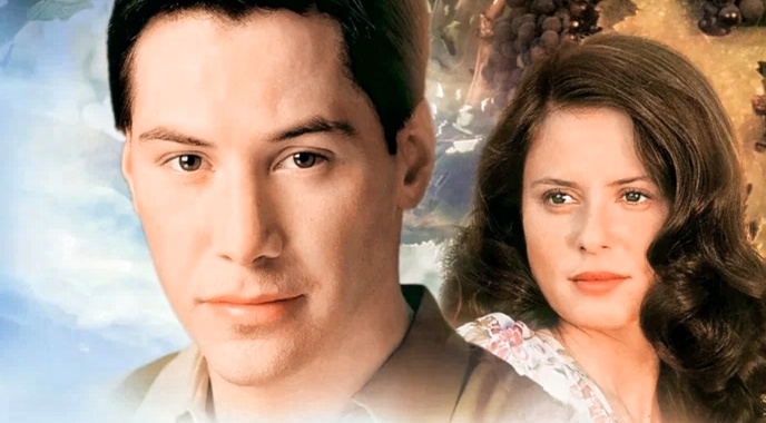 Фото из открытого источника 