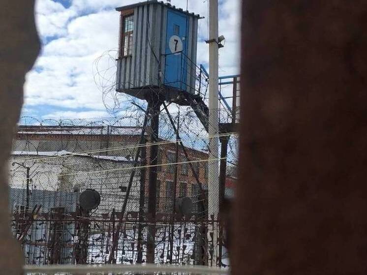     Колония. Фото: Сергей Климушев