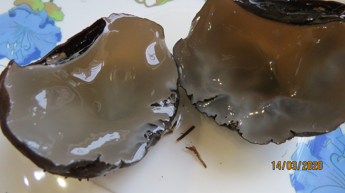 Вот такой прозрачный и крепкий студень внутри