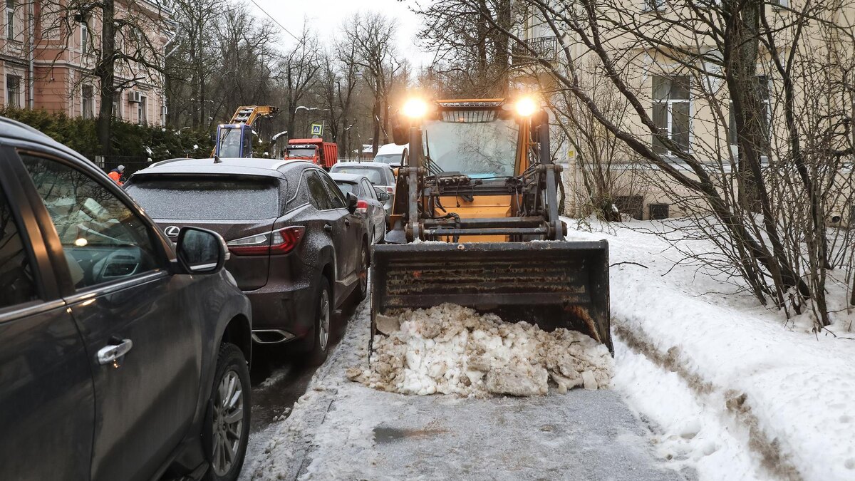    Из архива/ Фото: пресс-служба комитета по благоустройству Санкт-Петербурга