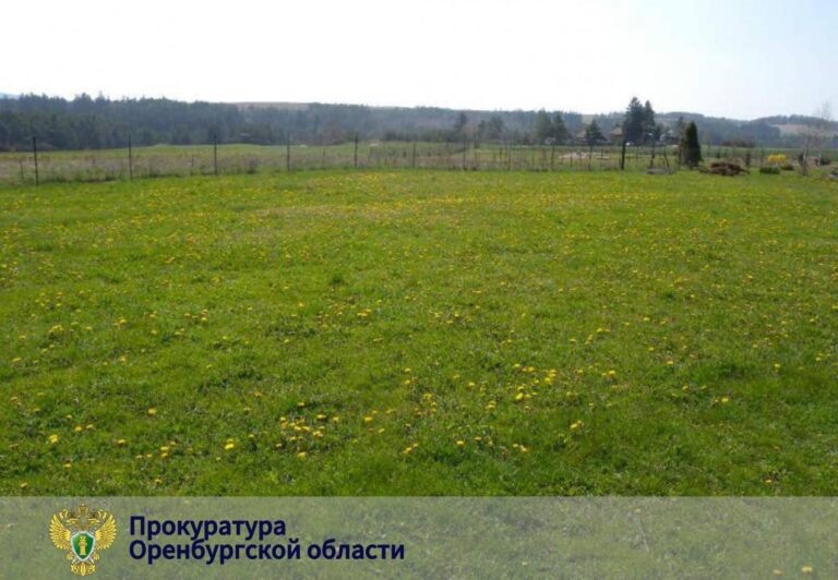    В Оренбургском районе вынесут приговор по делу о махинациях с муниципальной землей Кристина Просвиркина