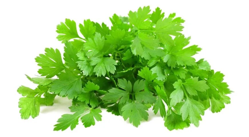 фото с интернета