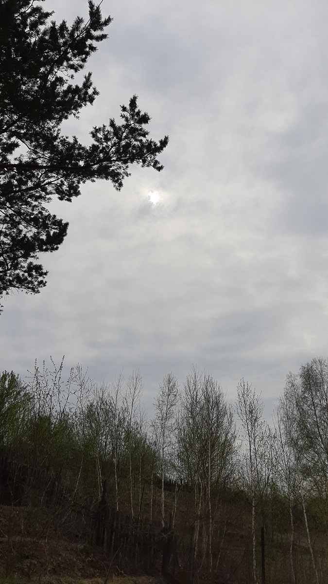 А тут уже серьёзно