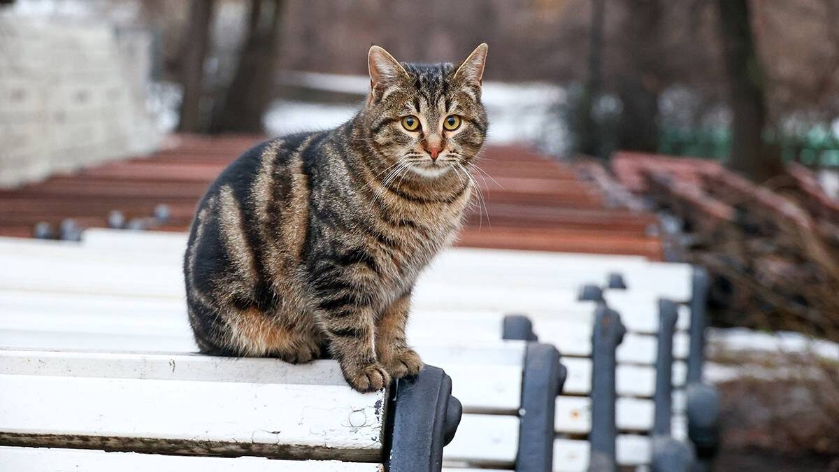    Фото: Ярослав Чингаев / АГН Москва