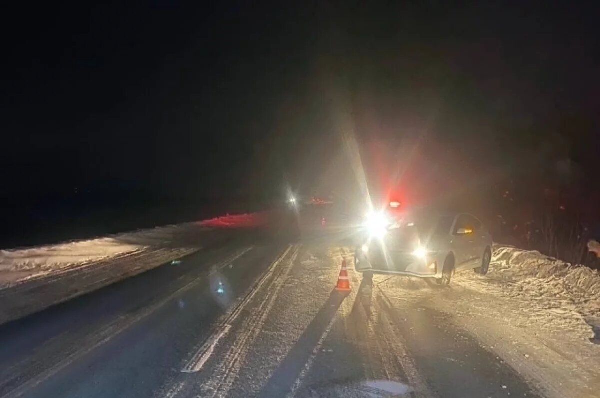    Пассажира иномарки госпитализировали после ДТП с лосём в Удмуртии