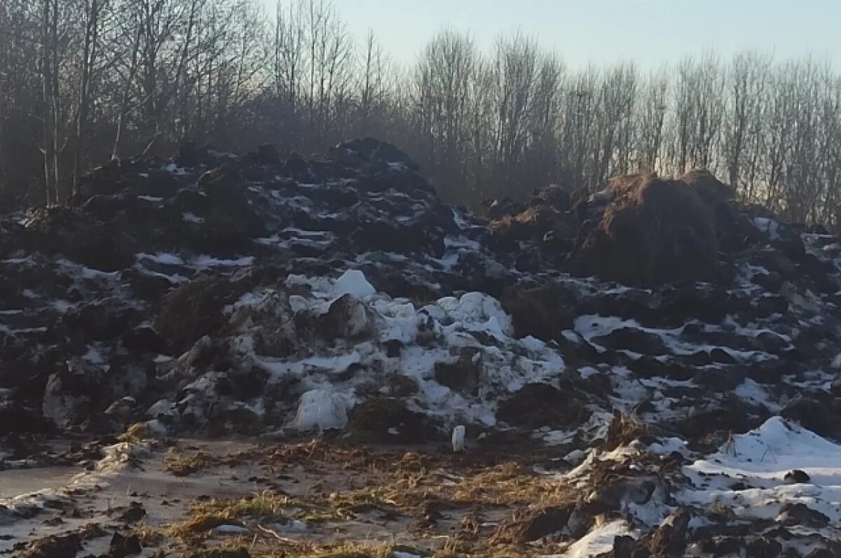    В Ярославской области обнаружили несанкционированную навозную кучу