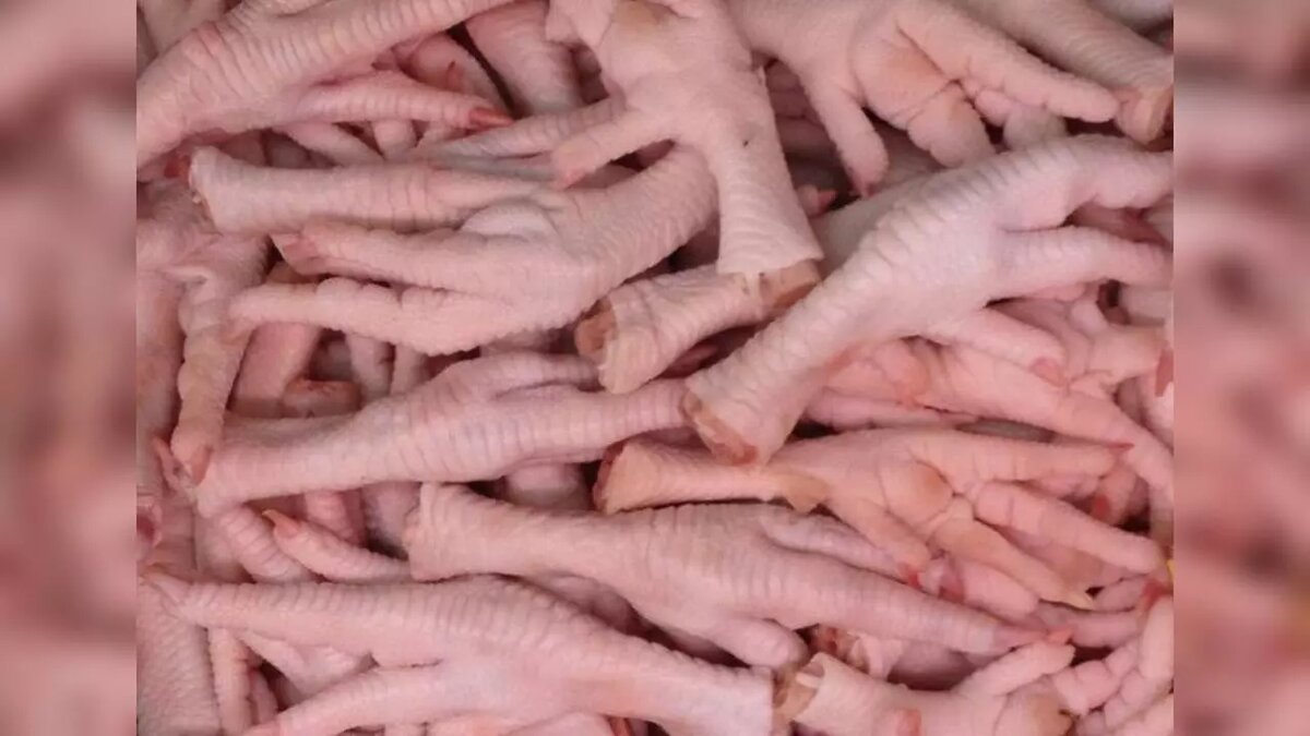     Источник: пресс-служба межрегионального управления Россельхознадзора