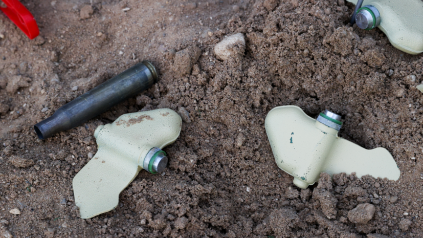     Мины «Лепесток» globallookpress.com