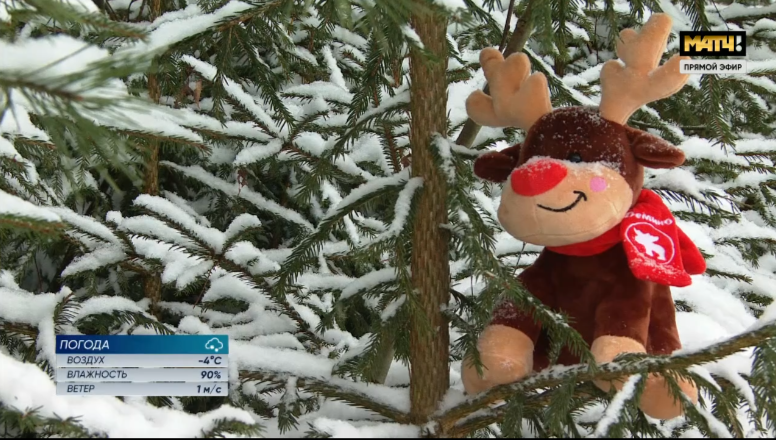 Скрин трансляции. 