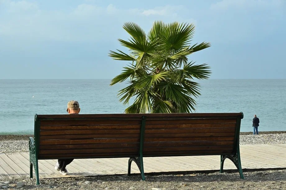 Фото: Telegram/Сочи Официальный  📷
