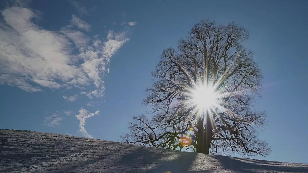     Автор: Unsplash