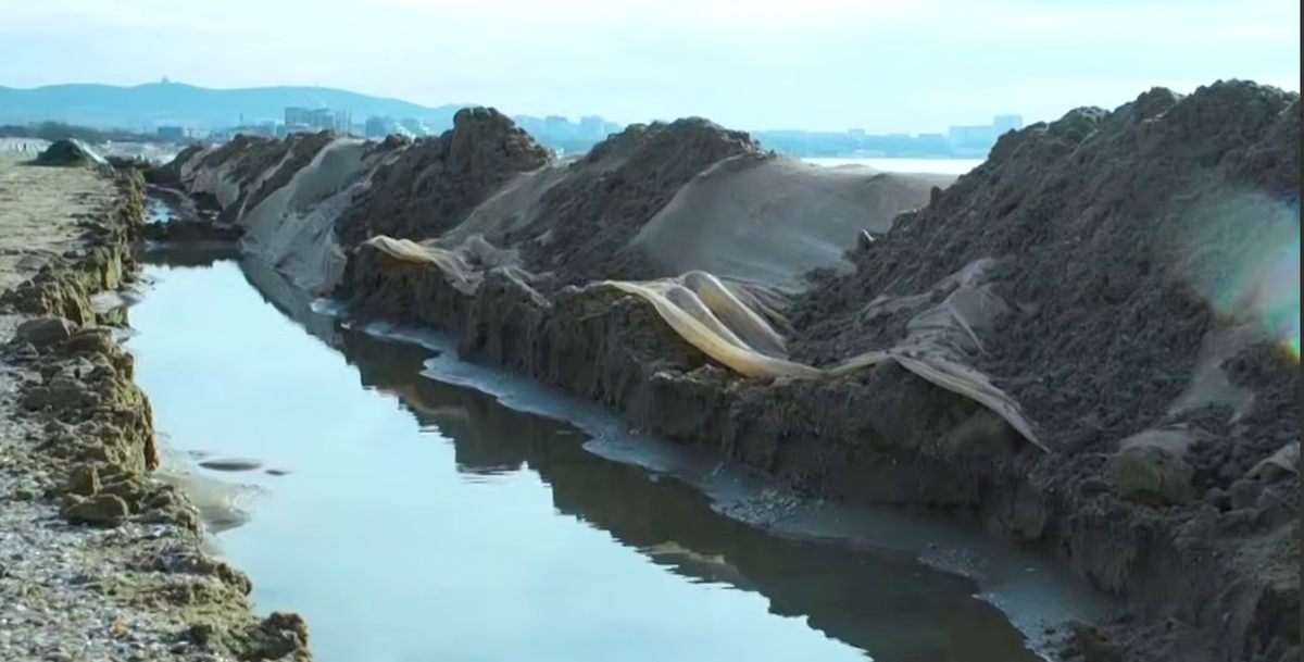 Фото: скриншот из видеоролика