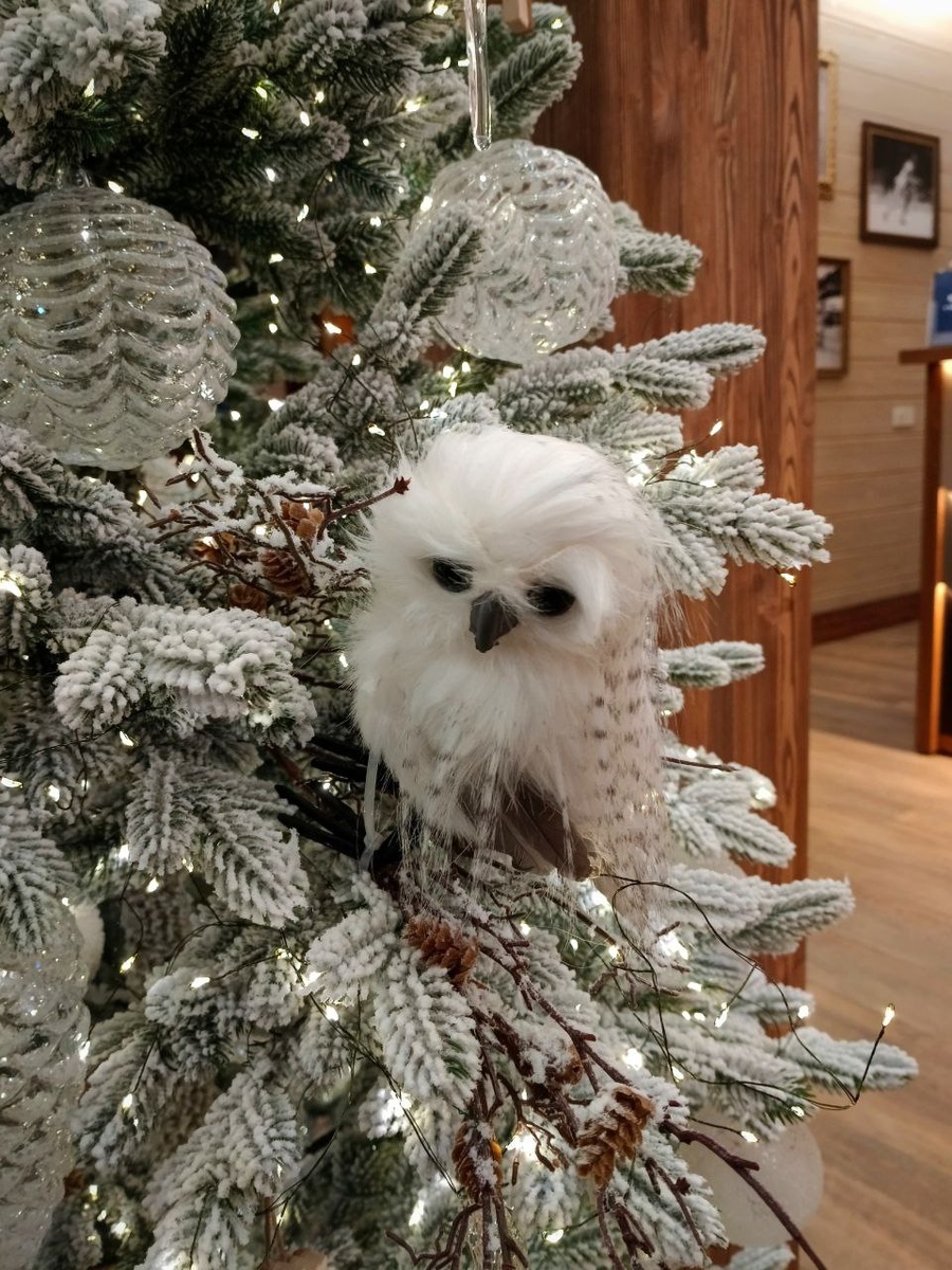 Уютное лобби и ресторан