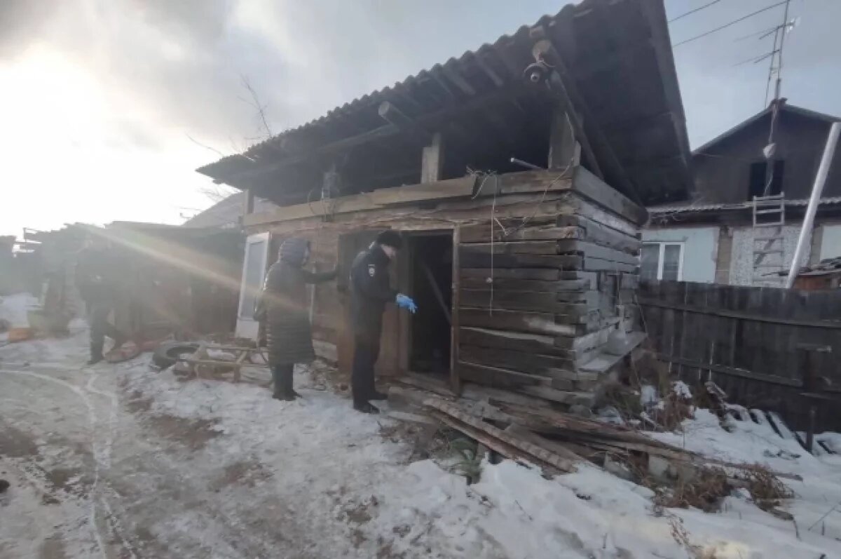    Красноярские полицейские проверяют сообщения о живодёре, который ест собак