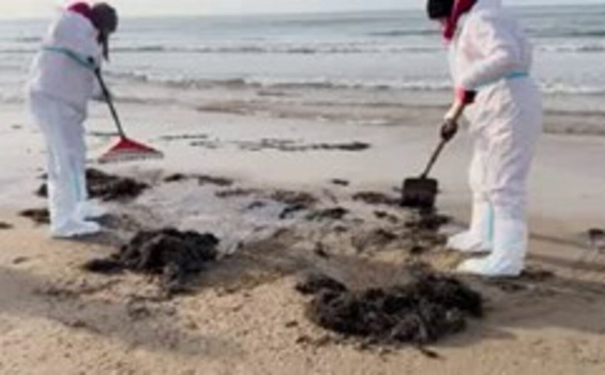    Курские волонтеры в Анапе очищают берег от мазута