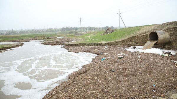    © Sputnik / Maxim Topal