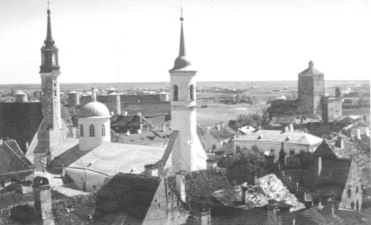 Генеалогия писателя В. А. Никифорова-Волгина. Нарвский период жизни.