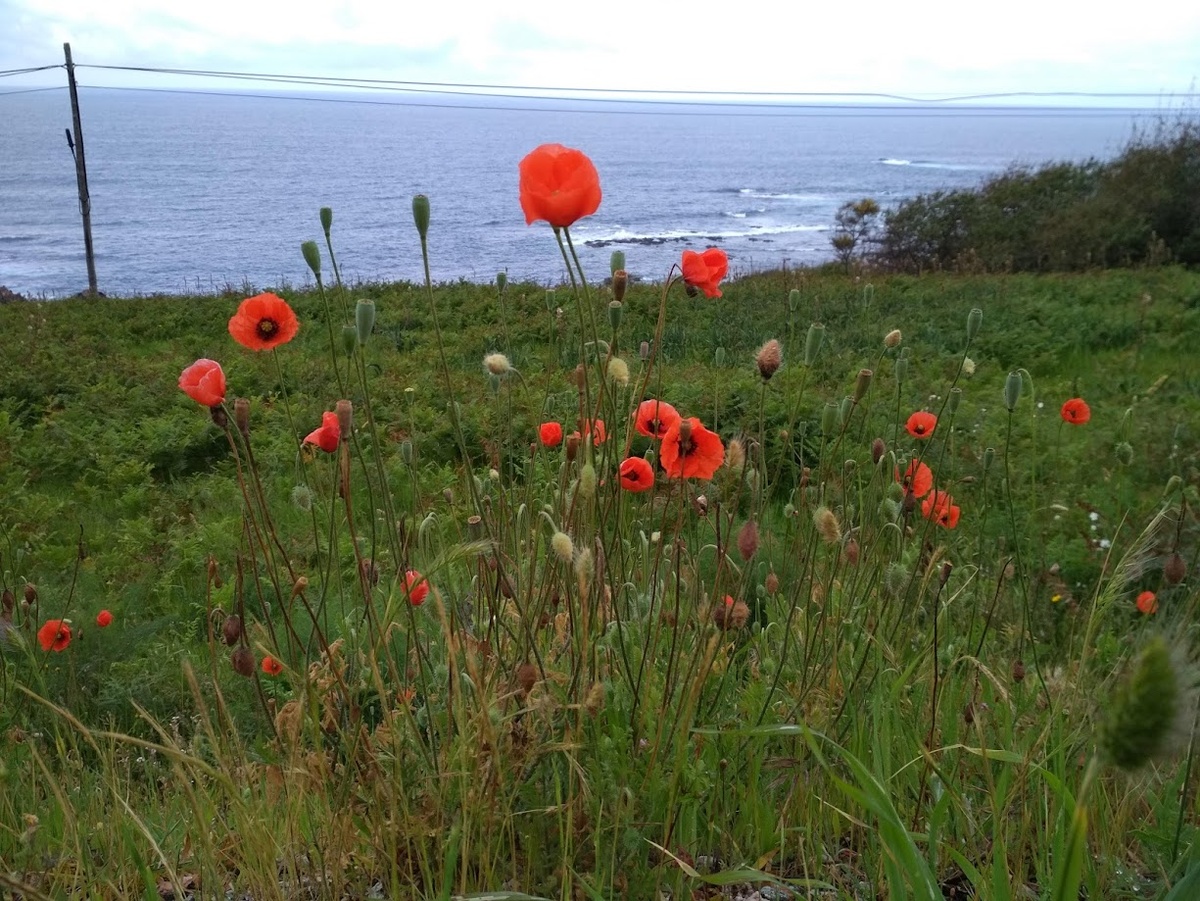 в Испании, на побережье Атлантического океана