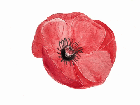 Про МАКОВУЮ РОСИНКУ все же помнят?