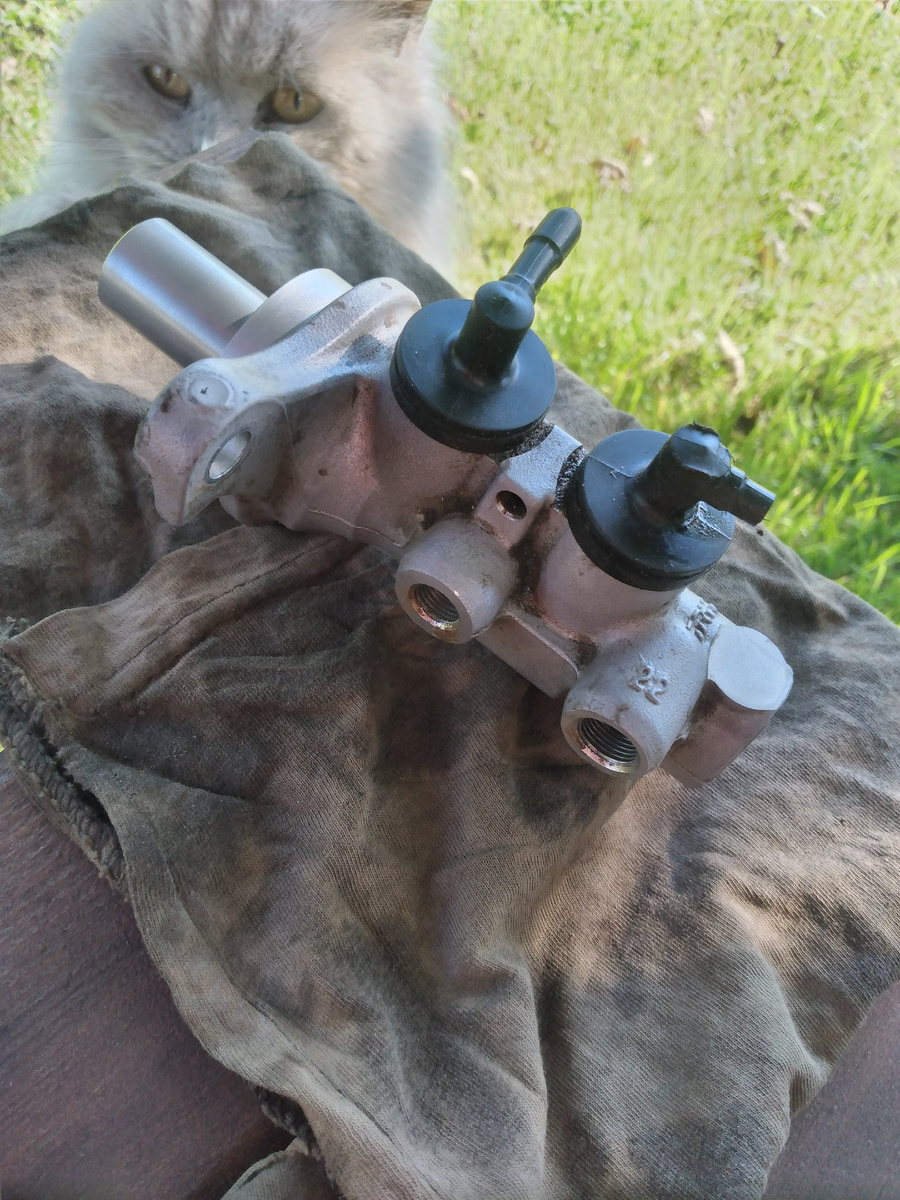 При демонтаже бдительно наблюдала за процессом моя верная помощница, кошка по кличке Адель, исполняющая роль главного контролирующего органа.