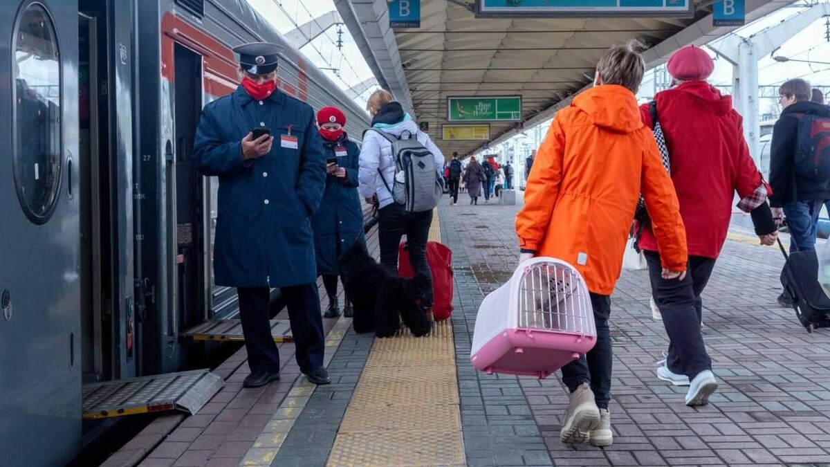    Фото: t.me/ozdrzd