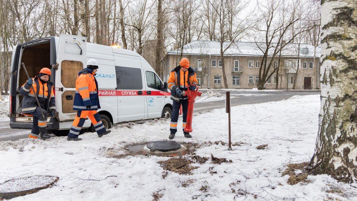    Фото: t.me/VDKSPB