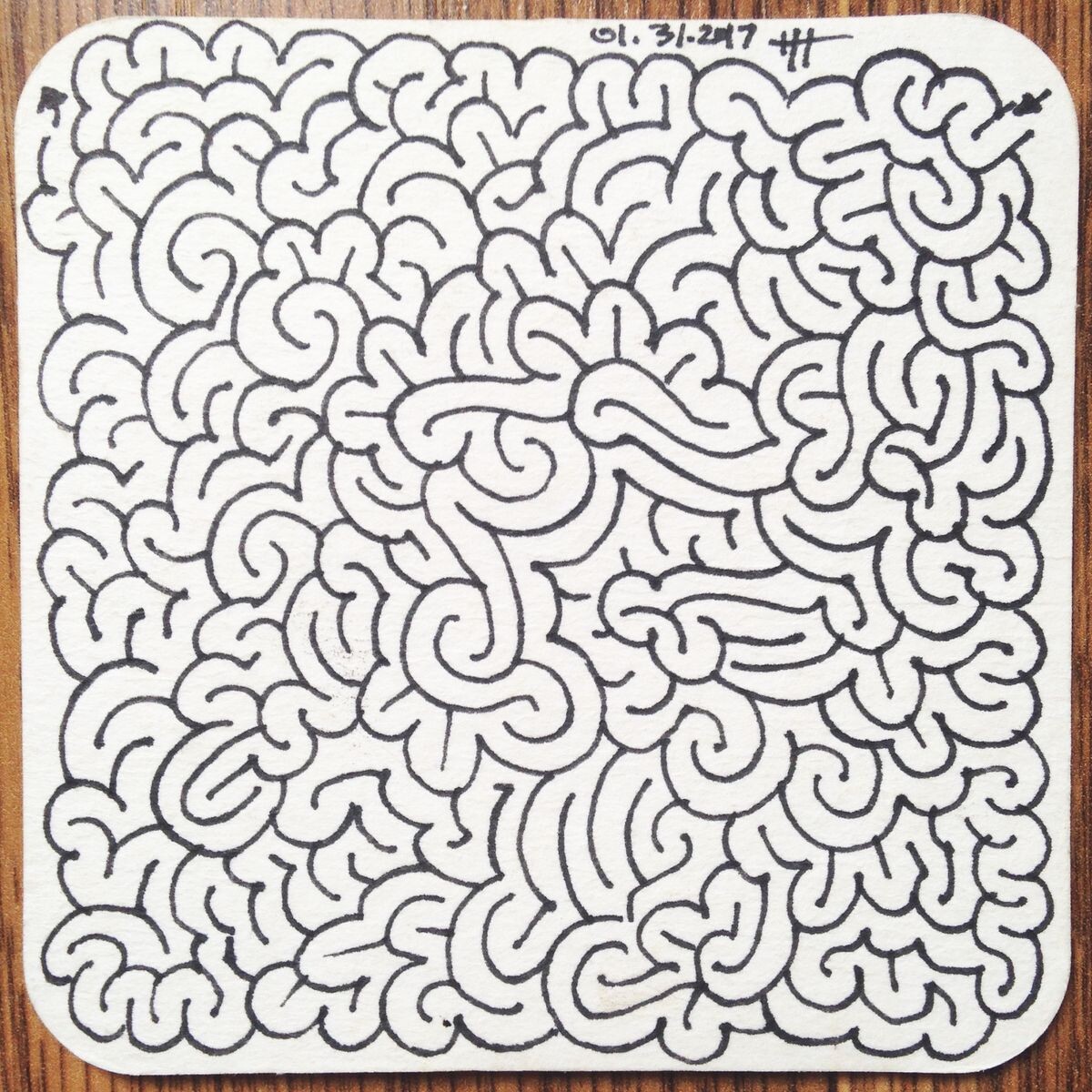 Головоломка-лабиринт  ©Heather Hoesl 