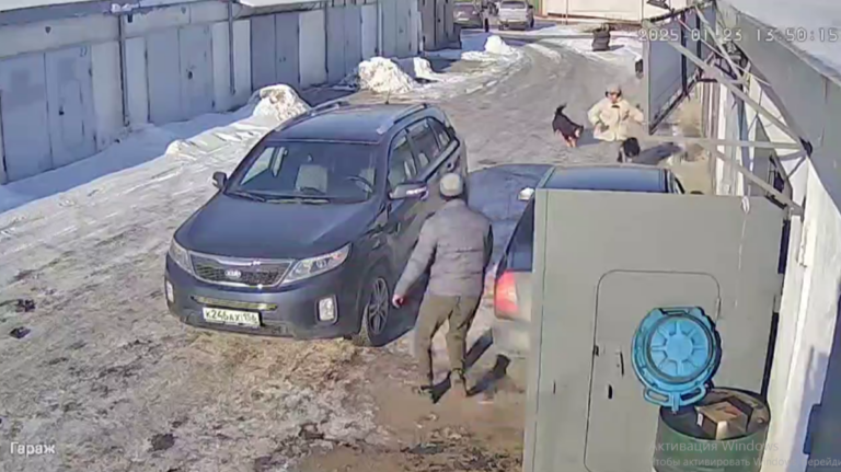    В Орске стая бездомных собак чуть не загрызла девочку-подростка Марина Шарт