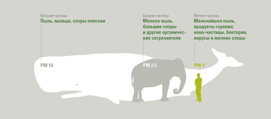 источник: stadlerform.ru