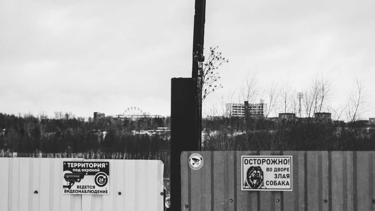    Фото: Даниил Журавлёв