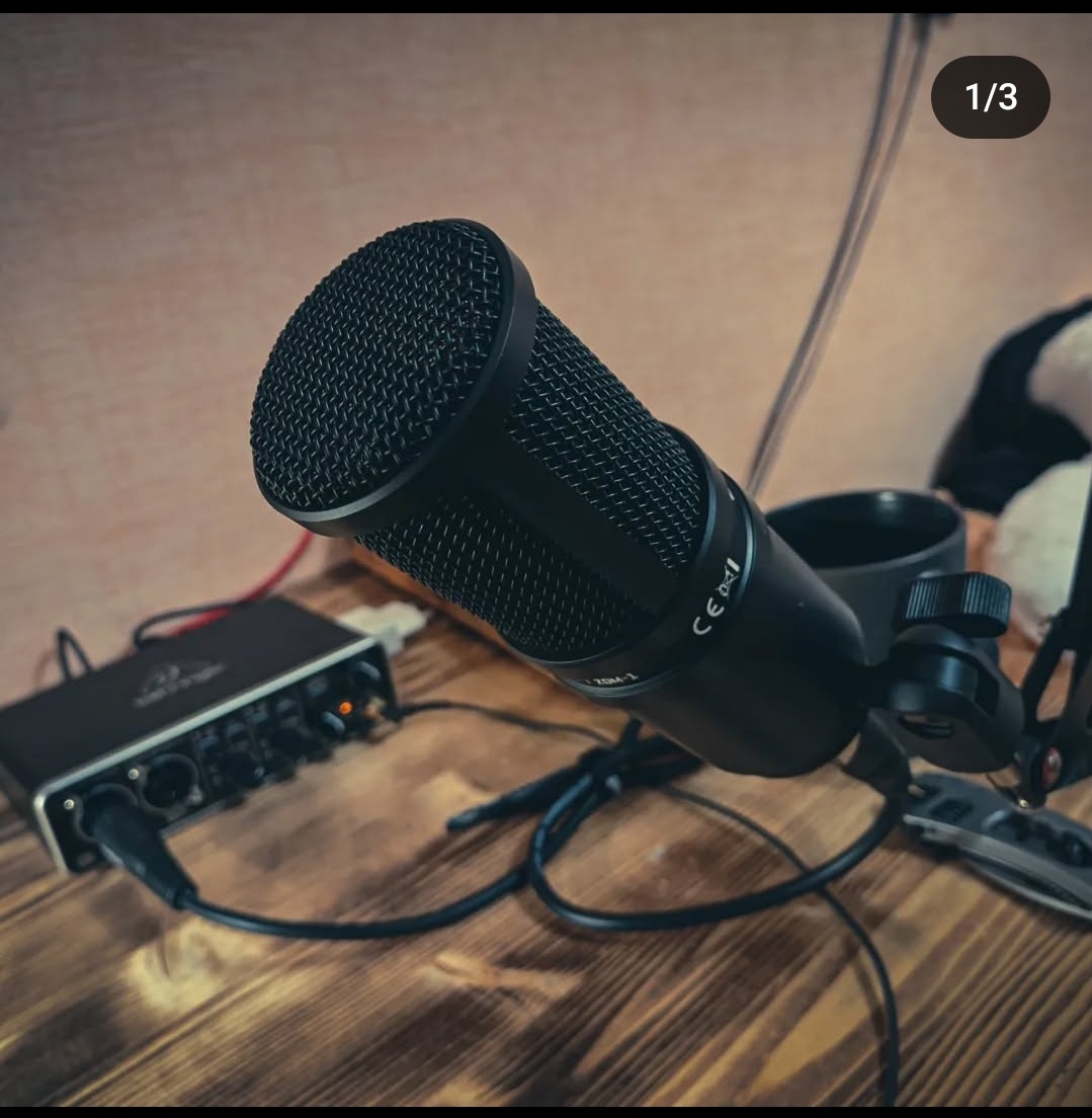 Zoom ZDM1 и Behringer UMC202. И ублюдский старый пантограф, который доводил меня до истерик.