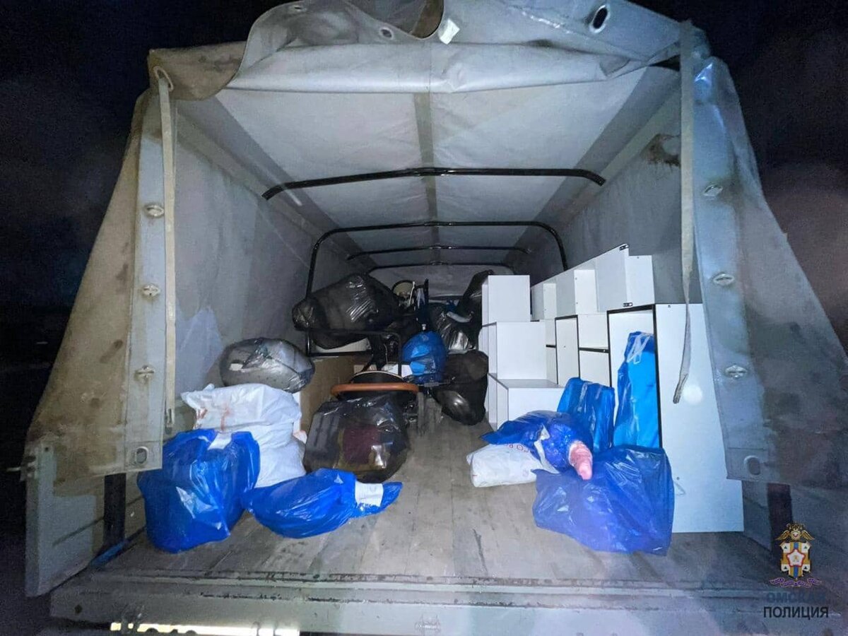   Фото пресс-служба УМВД по Омской области