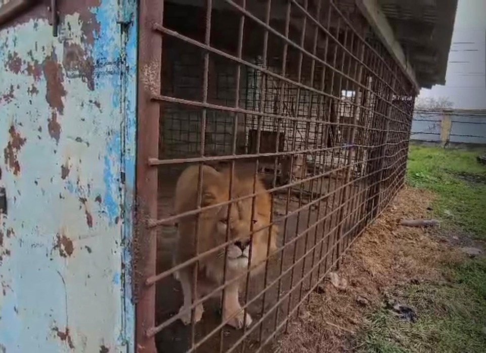    Фото: Северо-Кавказское управление Росприроднадзора