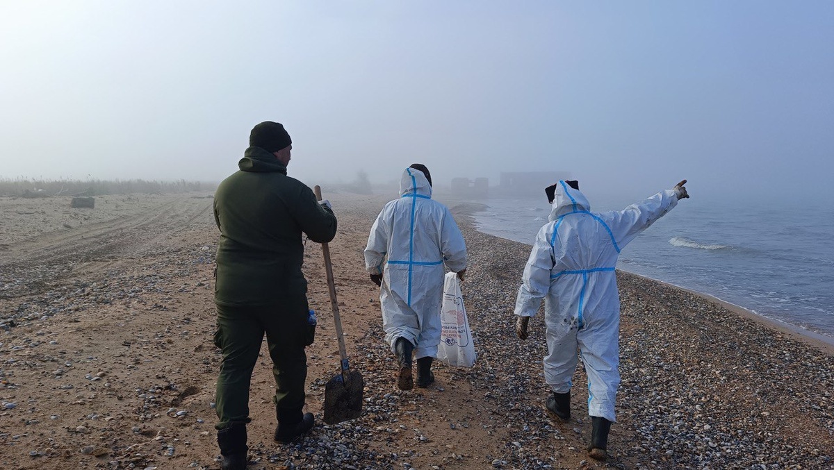 Фото: Оперштаб Кубани