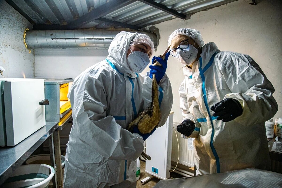 Фото: Варвара Вострокнутова