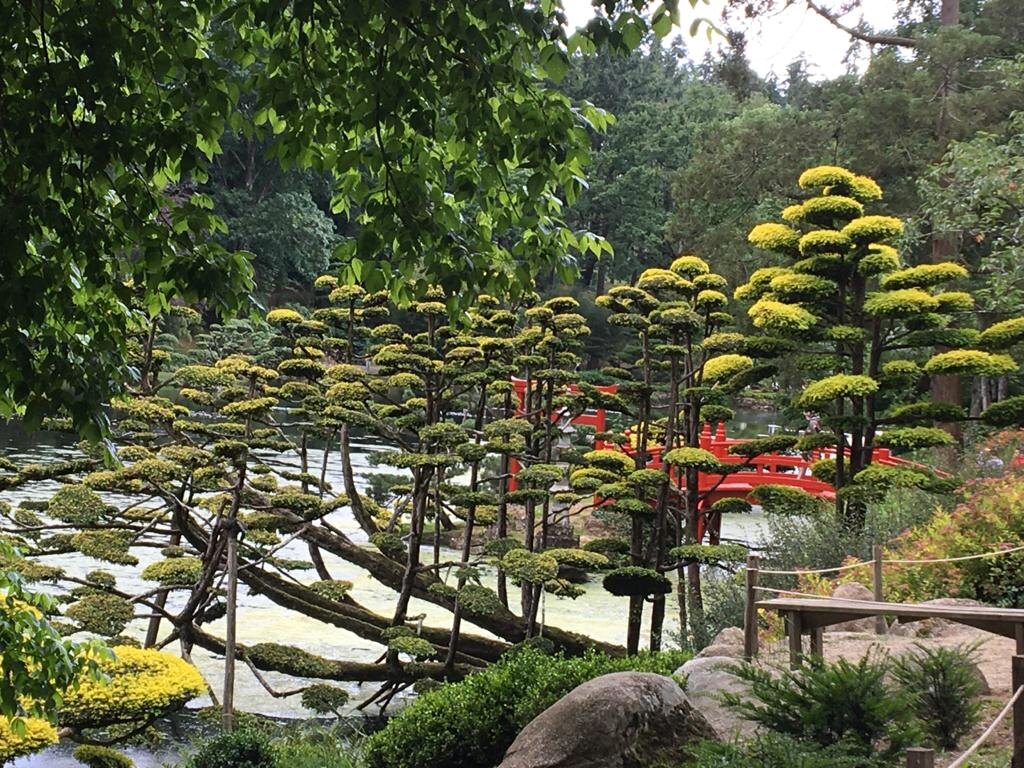 Сон про поезд. Фото автора